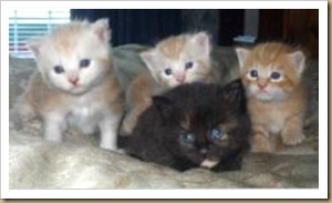 Family portrait