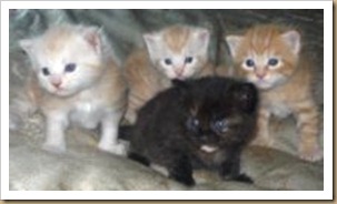 Family portrait
